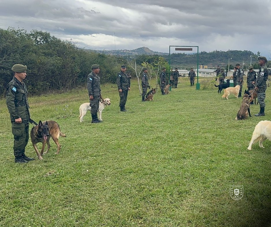 PMOPHN's tweet photo. 🕊️🐾 #DespedidaCanLuna | PMOP despide a una heroína.

Las @FFAAHN a través de la @PMOPHN (#1BCPMOP), expresan su profundo pesar por el fallecimiento de la CAN Pastor Belga Malinois “LUNA”, integrante del Primer Batallón Canino de la PMOP, quien partió a los 06 años de edad, especializada en detección de narcóticos, a causa de cáncer hepático.