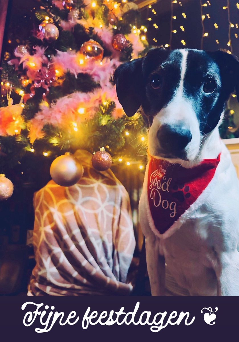 Daan ღ tweet media