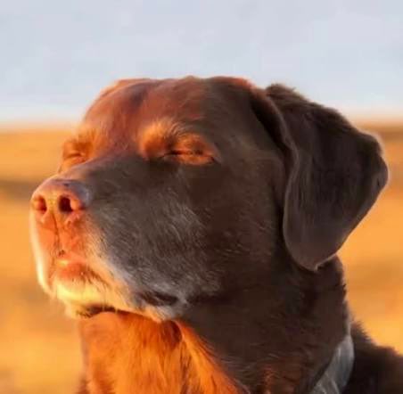 <a href="/Ay_omii/">𝒶𝓎𝑜𝓂𝒾𝒾 🍃</a>