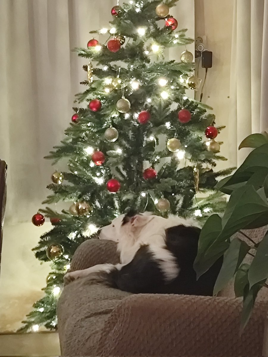 Anco Mantingh tweet media