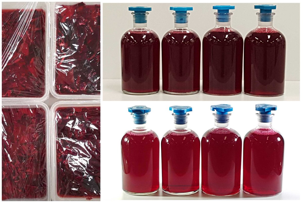 AngusAlchemist tweet media