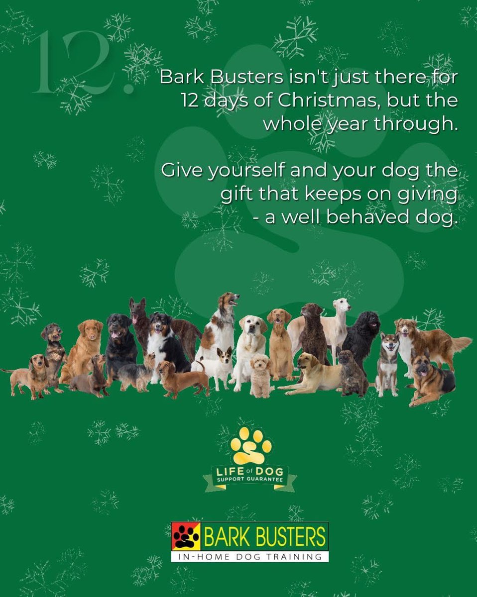 🎄🐾 We’re here for the long run.
The holidays can highlight behaviour challenges—but real change happens year-round. At Bark Busters, our support doesn’t end when Christmas does. We’re here for you and your dog in every season. Happy Dogs Happy Families 🐾😎