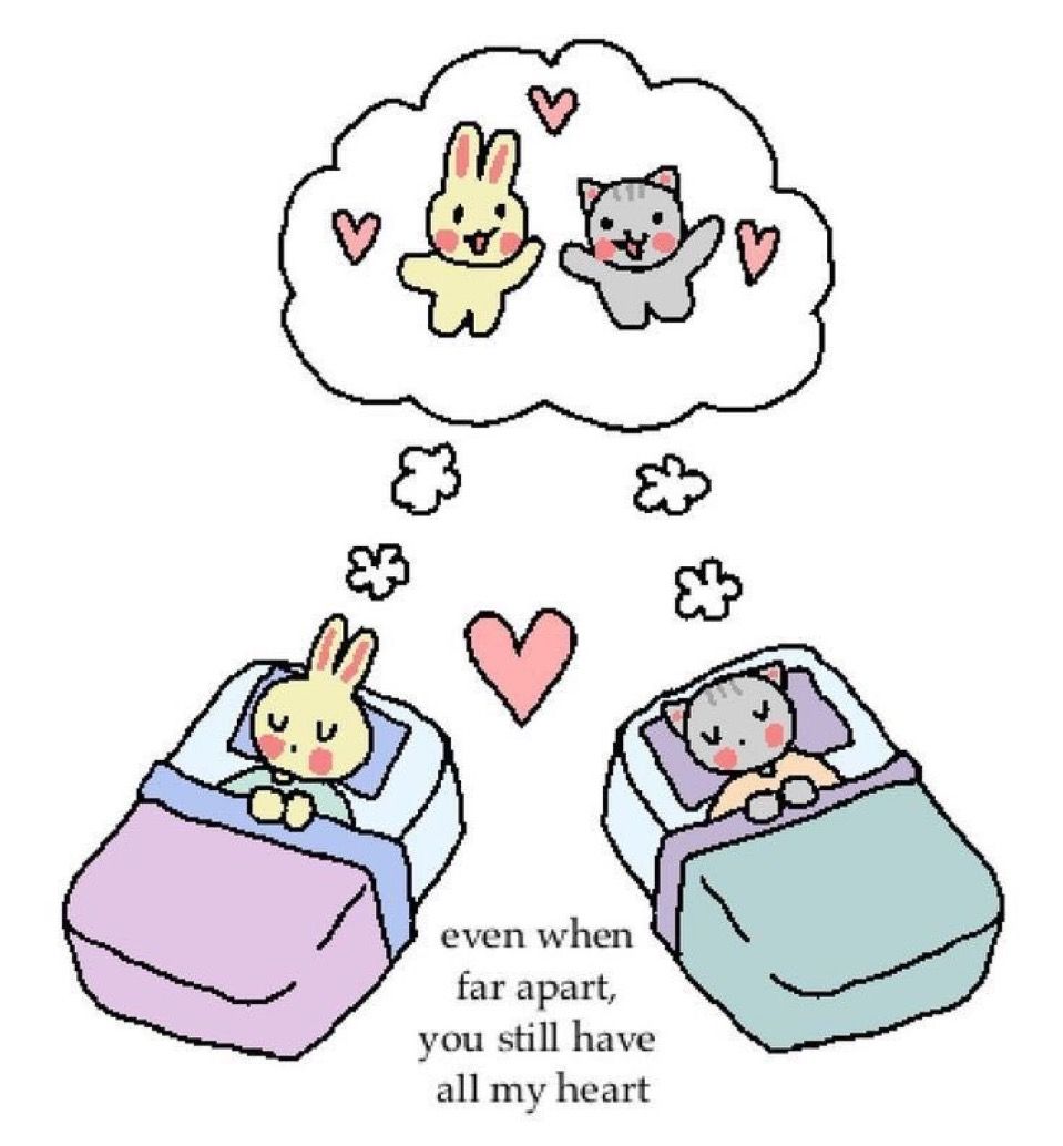 only cute things (@cutedreamvibes) on Twitter photo 