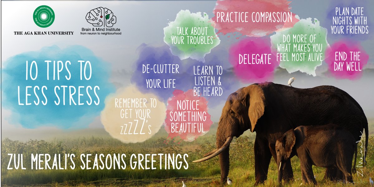 AKU_BMI's tweet photo. As the year draws to a close, we’re reminded through reflections from our Founding Director, Prof. Zul Merali of the importance of slowing down and caring for one another.
We’re grateful to all who walk this journey with us. Wishing you a peaceful festive season.
#BrainHealth https://t.co/Nxn3YBP8jr