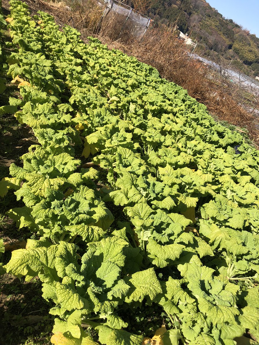 ♥のんちゃん様♥ のんちゃん (@non_chan0203) / Posts / X