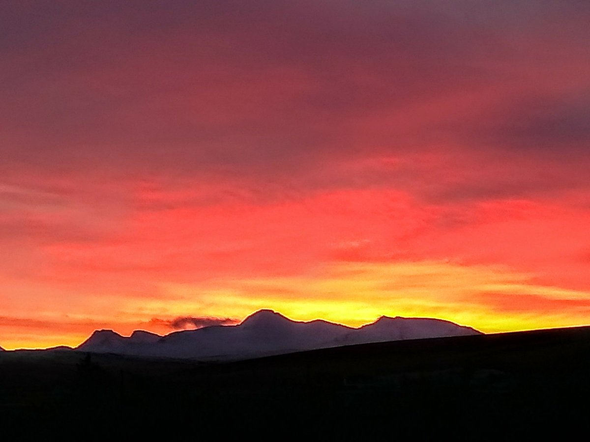 RedRiverCroft's tweet image. Wishing you all a Merry Christmas &amp;amp; a happy, healthy New Year. It's chaos here with a house full of excited little ones. Cards are unwritten, there are presents to wrap &amp;amp; food to be prepped, so slightly ahead of schedule, here's a Red River Croft midwinter dawn specially for you!