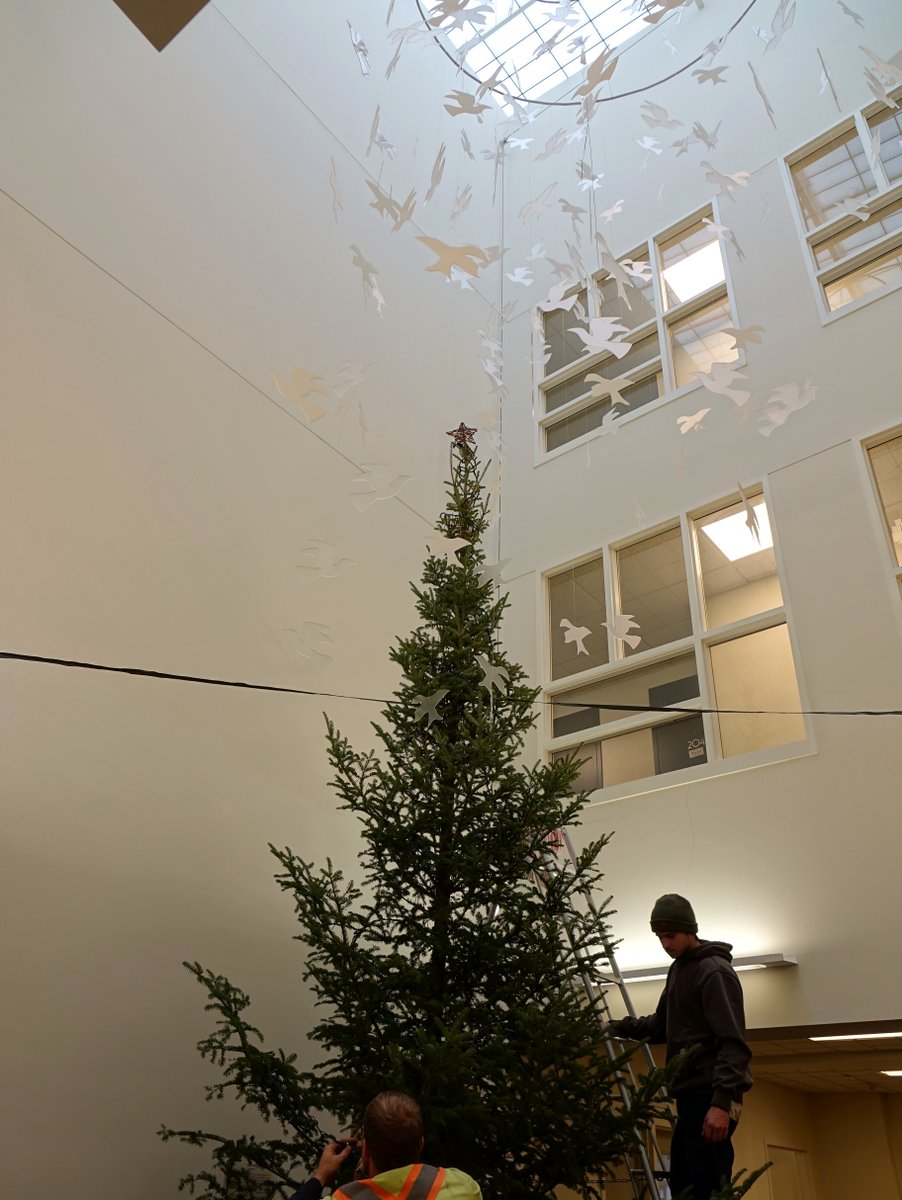 IndwellCA's tweet photo. Huge thanks go out to DeVos Tree Care once again this year for supplying an enormous, gorgeous tree that's lit up the Perkins Centre all throughout December! 

What a great gift to Indwell tenants, staff, and the community. 🎄🥹 https://t.co/eEa1k28a9x