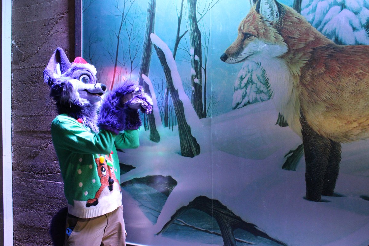 Went to a holiday light walk in the forest! Lots of creative displays.
📷: oddowo on 🟦☁️