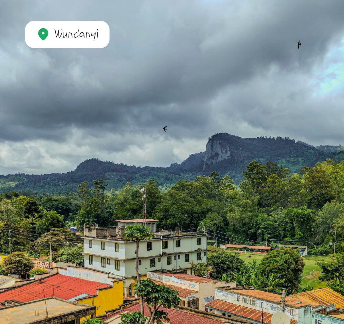 Atulo Nicholas tweet media