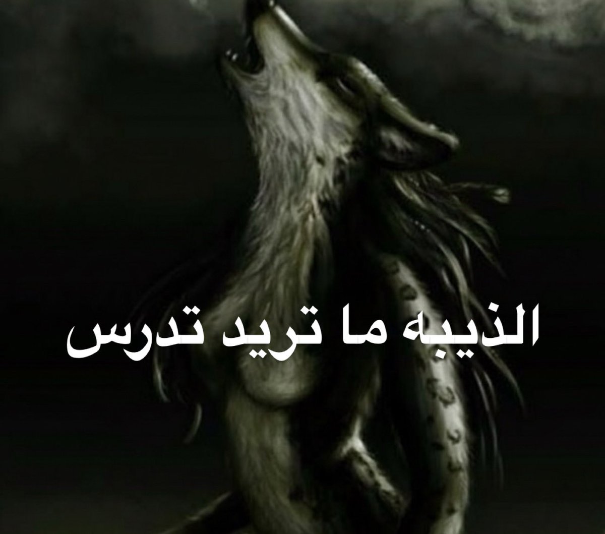 ضَي🎓 tweet media