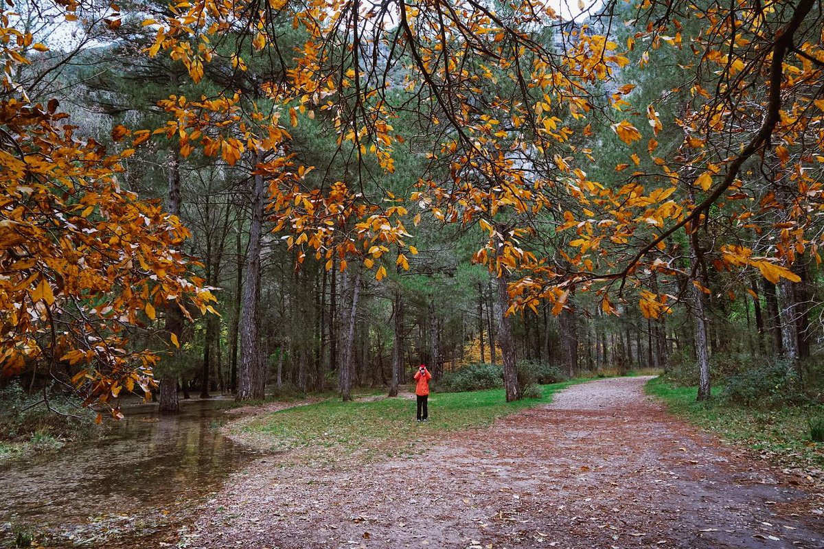 mandolinaes's tweet photo. Winter has barely started, but I still feel like I left part of myself in autumn. https://t.co/nz3bZgDHlg