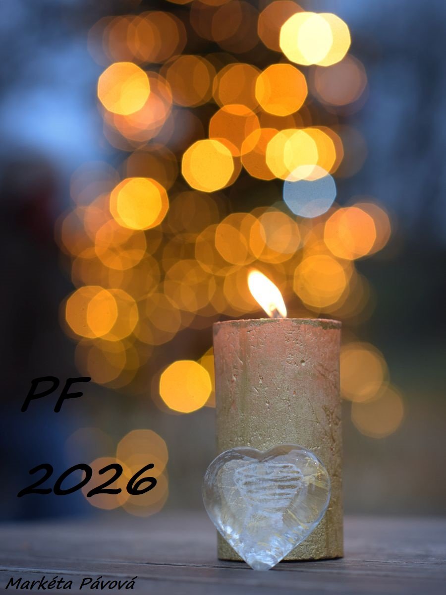 Markéta Pávová tweet media