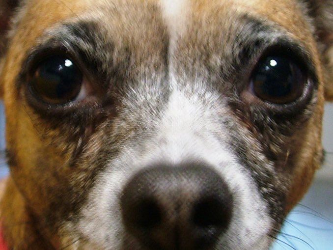 Kurt Rex Cooper tweet media