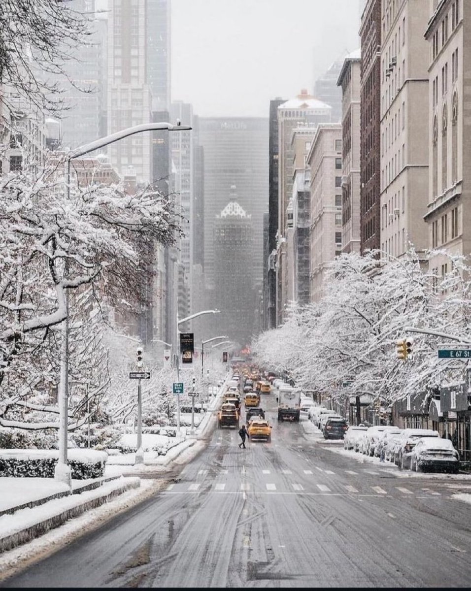 purelivn's tweet photo. winter in new york https://t.co/hZ87DE9drt