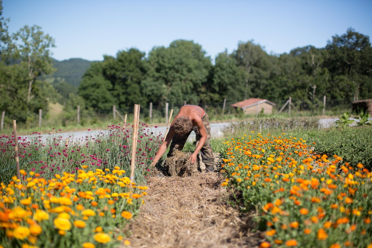 AnandaGuillet's tweet image. Nous mangeons 3x par jour ! 🌱

Cela fait 1 095 occasions de changer le monde, par an ! 🌍

Nous votons ainsi 3x par jour et chaque acte de consommation impact le monde. 

Nous avons le pouvoir ! Et toi, que vas-tu voter pour ton prochain repas ? 🍽️

#SoutienAuxPaysans #DNC