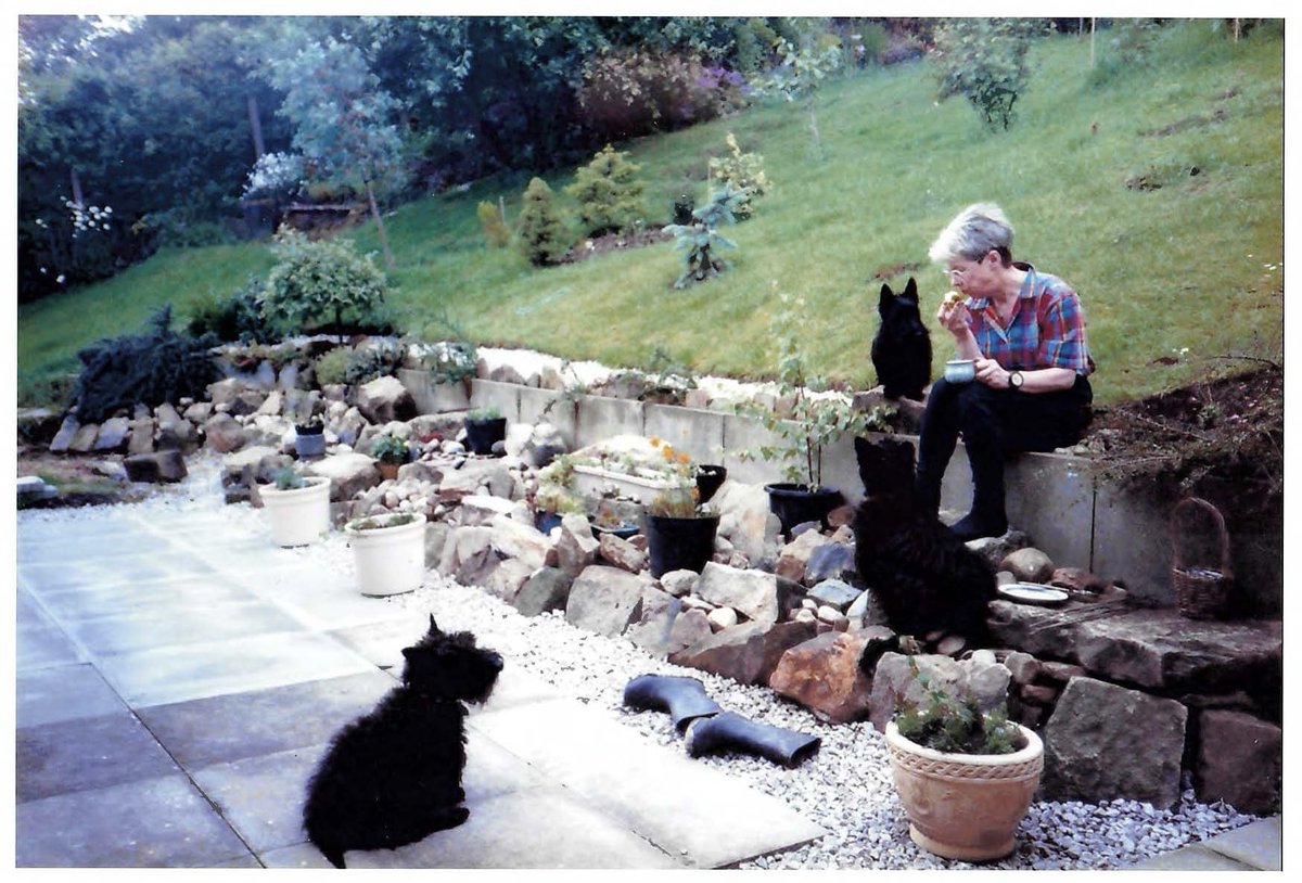 Si Barrow tweet media