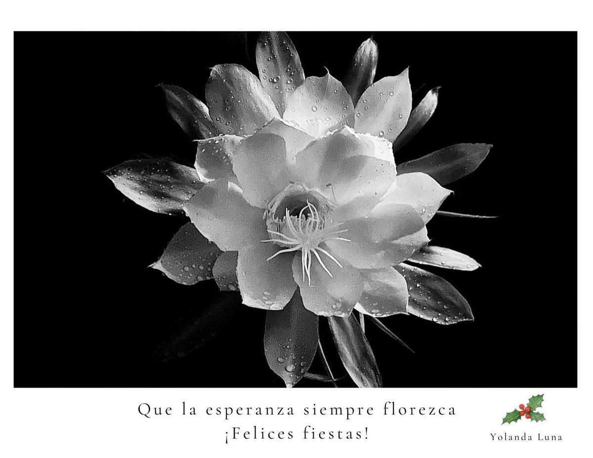Yolanda Luna tweet media