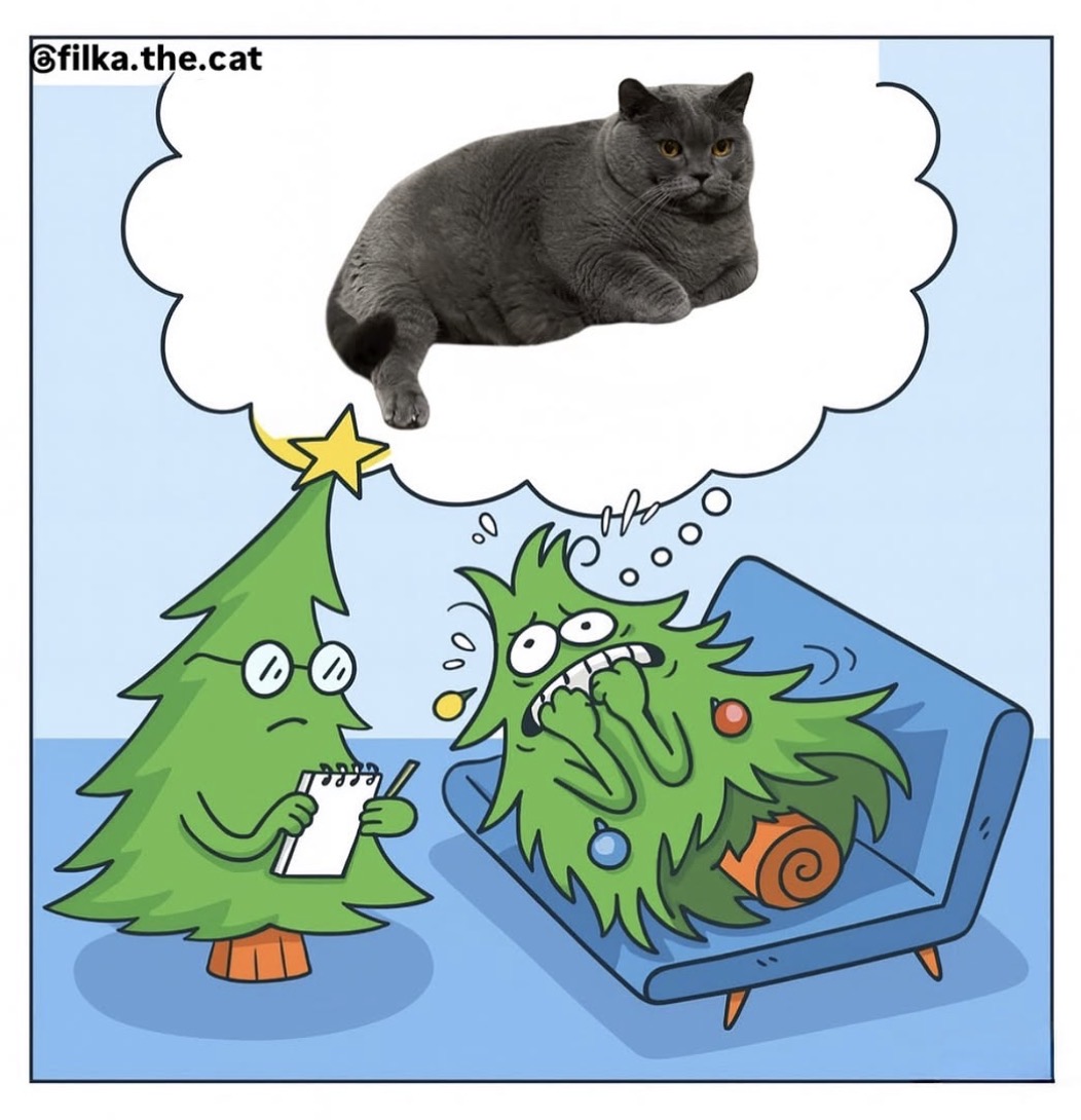 lined cats (@linedcats) on Twitter photo 