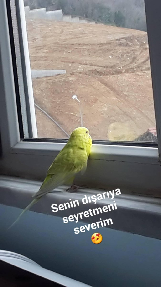 gozdetarik's tweet photo. Bütün özlediklerim benden ayrı yaşıyor....
2017..... https://t.co/kg6uL7WeuB
