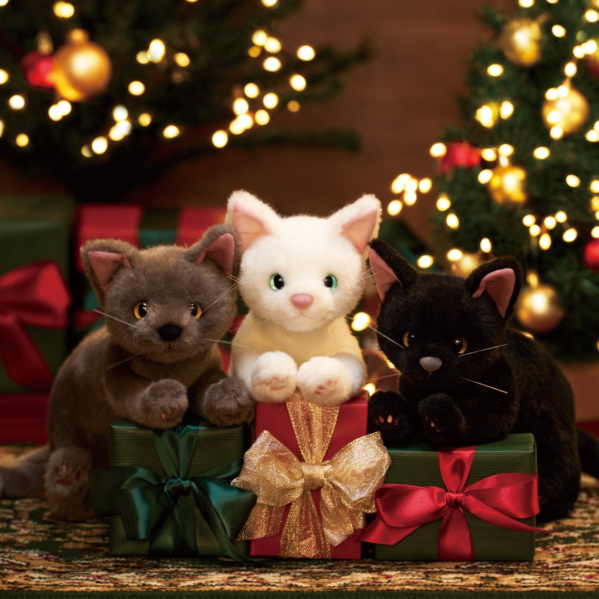 Cuddly（カドリー） (@CuddlyOfficial) / Posts / X