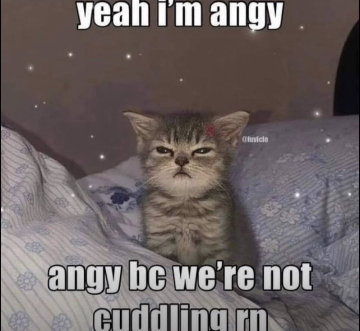 helioscobalt.bsky.social (@helioscobalt) on Twitter photo 