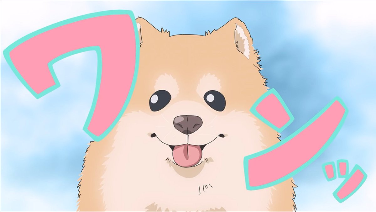 褒められないとポメラニアン！w