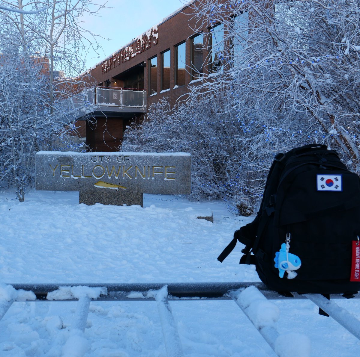개복치와 함께하는 오로라여행,,