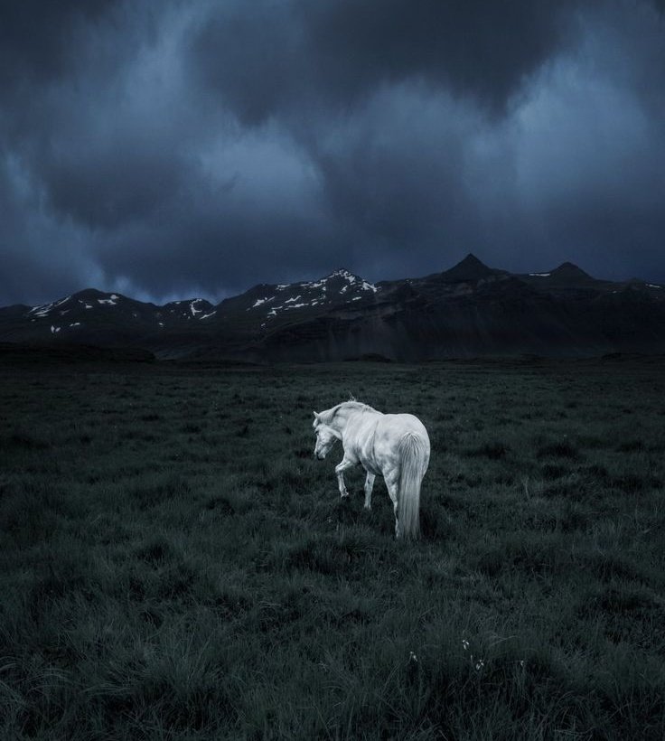 "Hiçbir torpili olmadan, kimseye yalakalık yapmadan kendi ayakları üzerinde durmaya çalışan herkesin Allah yardımcısı olsun."