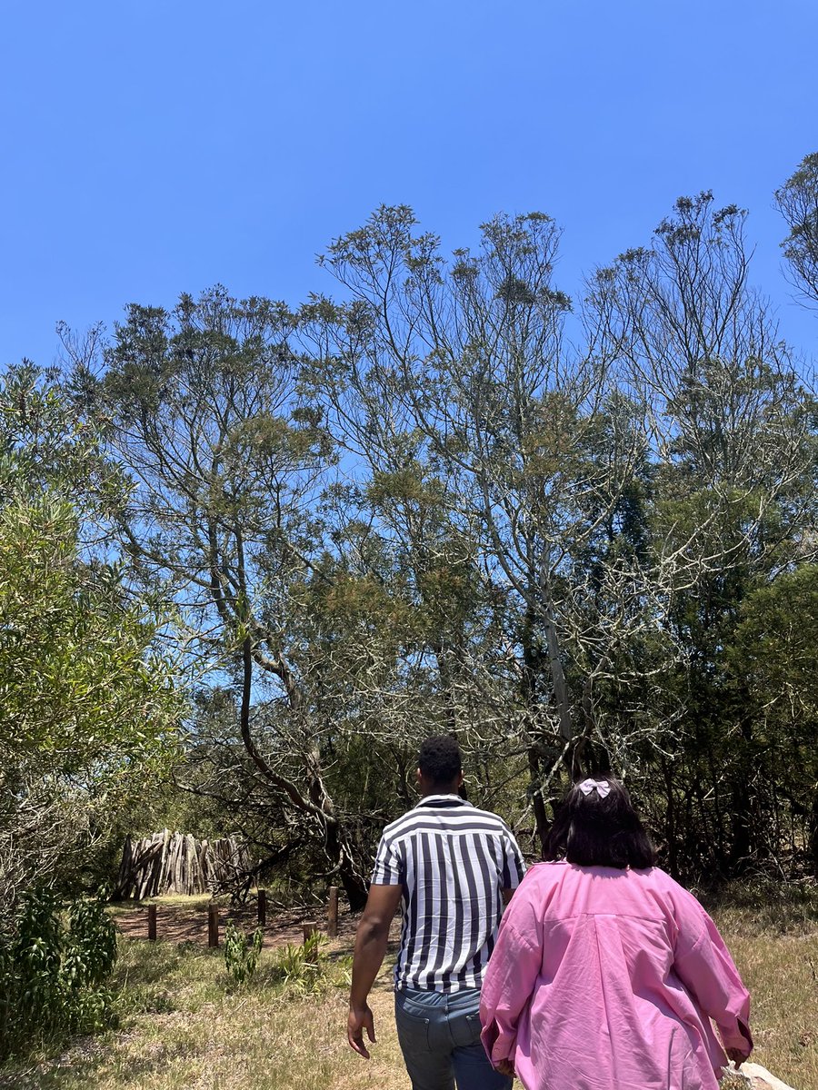 Sisipho Ngcumbe (@sipsonthenews) on Twitter photo 