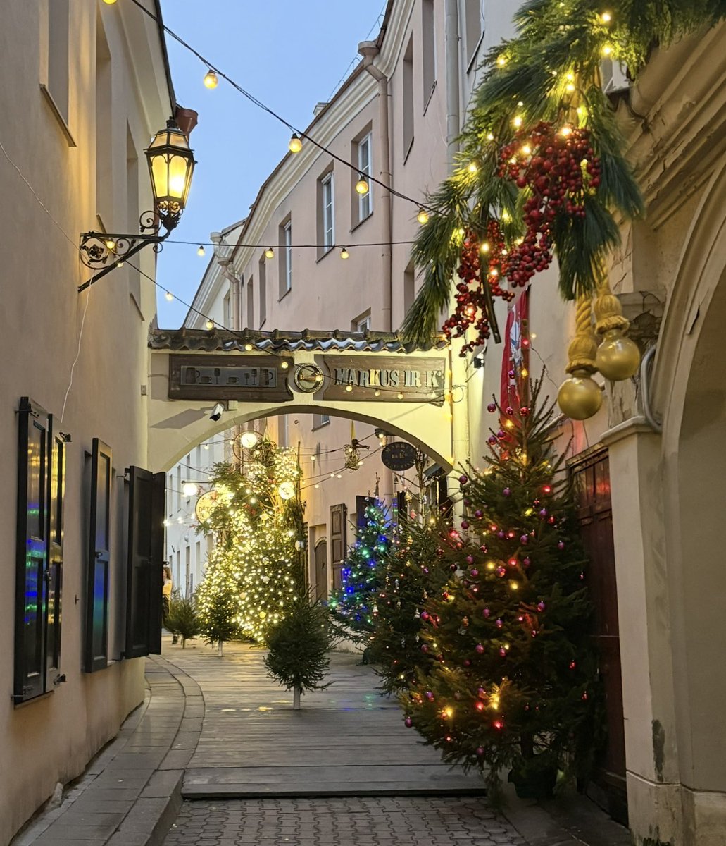 The beautiful festive displays of Vilnius 🥰 🇱🇹