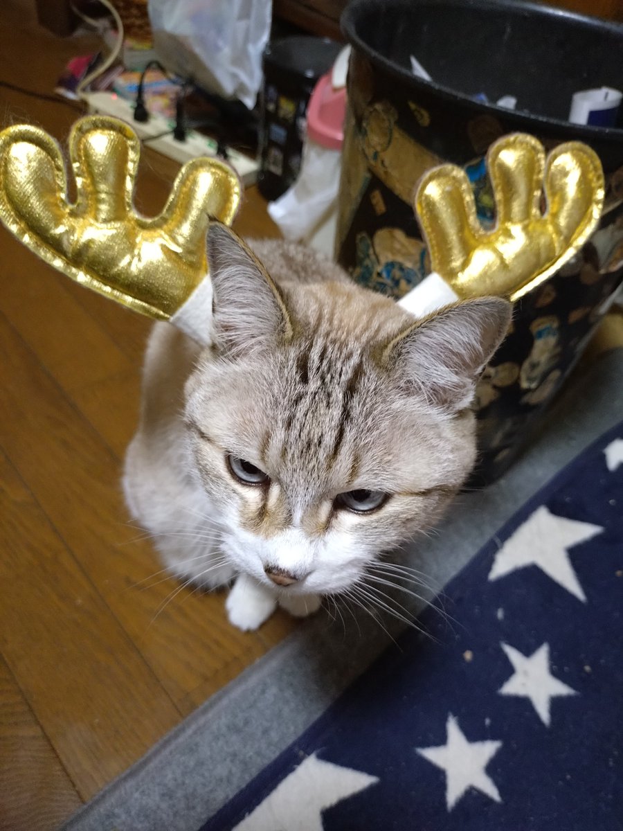 ぺろぴー (@peropy_turbo) / Posts / X