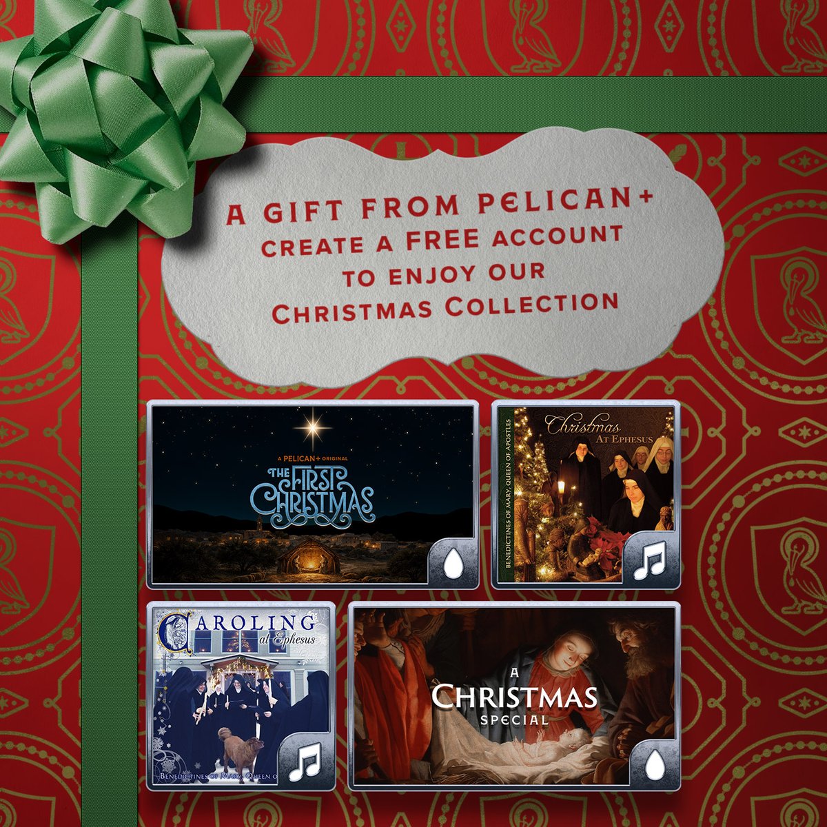 Pelican+ tweet media