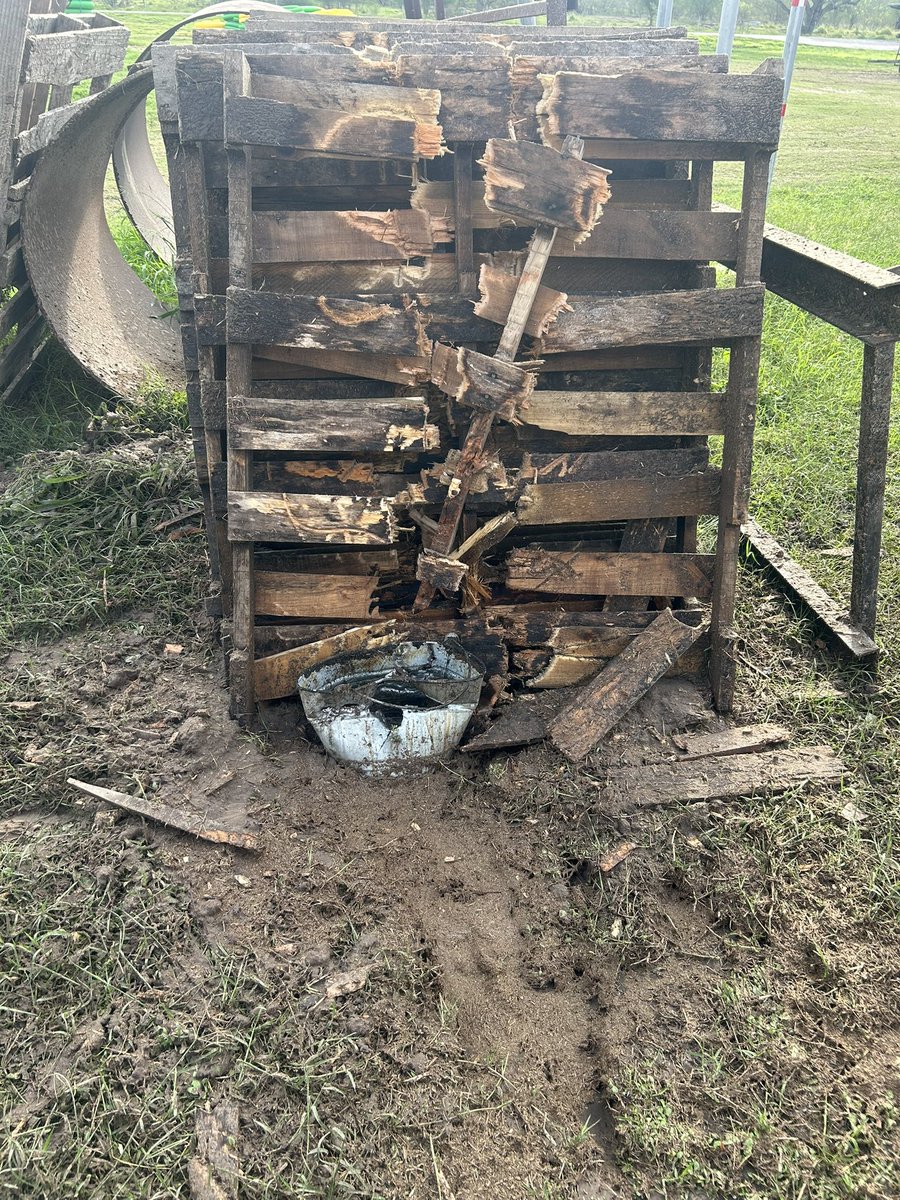 BucketheadDyn tweet media