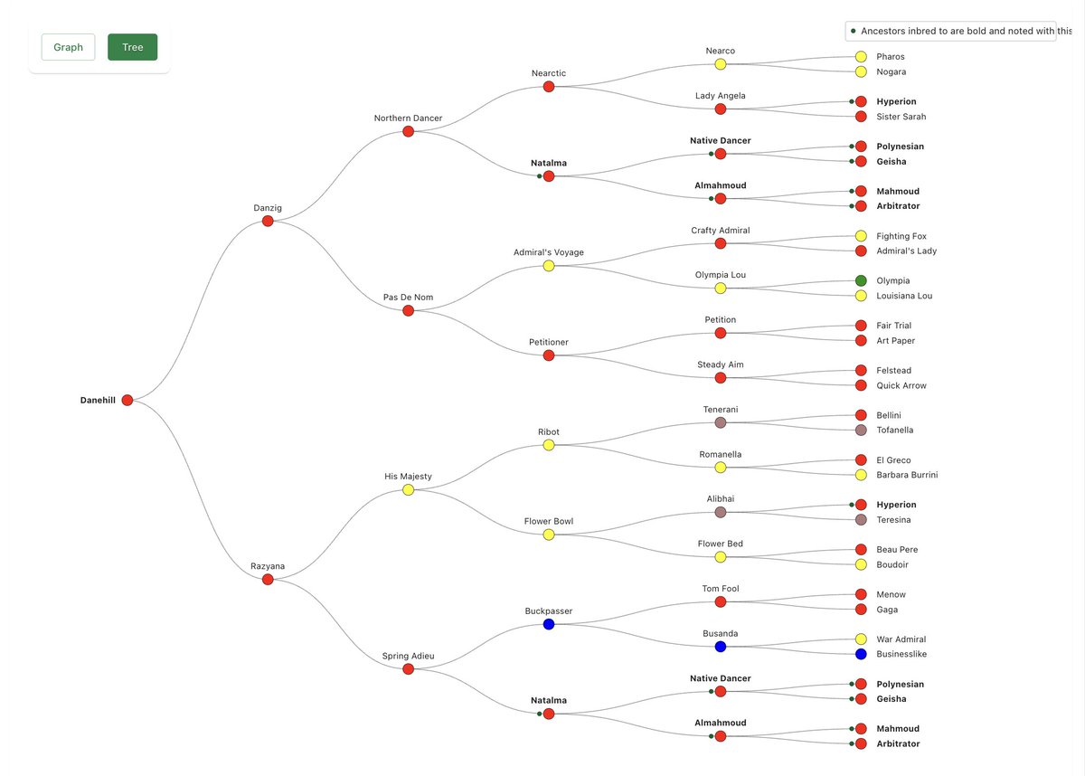 byronrogers73's tweet image. Some cool things coming out of @StableAnalytics Q1 2026. Here is the pedigree of Danehill. The image on the left is his traditional 5x, on the right is actually how it is genetically with his inbreeding. Nodes are colored in their mitochondrial haplogroup.