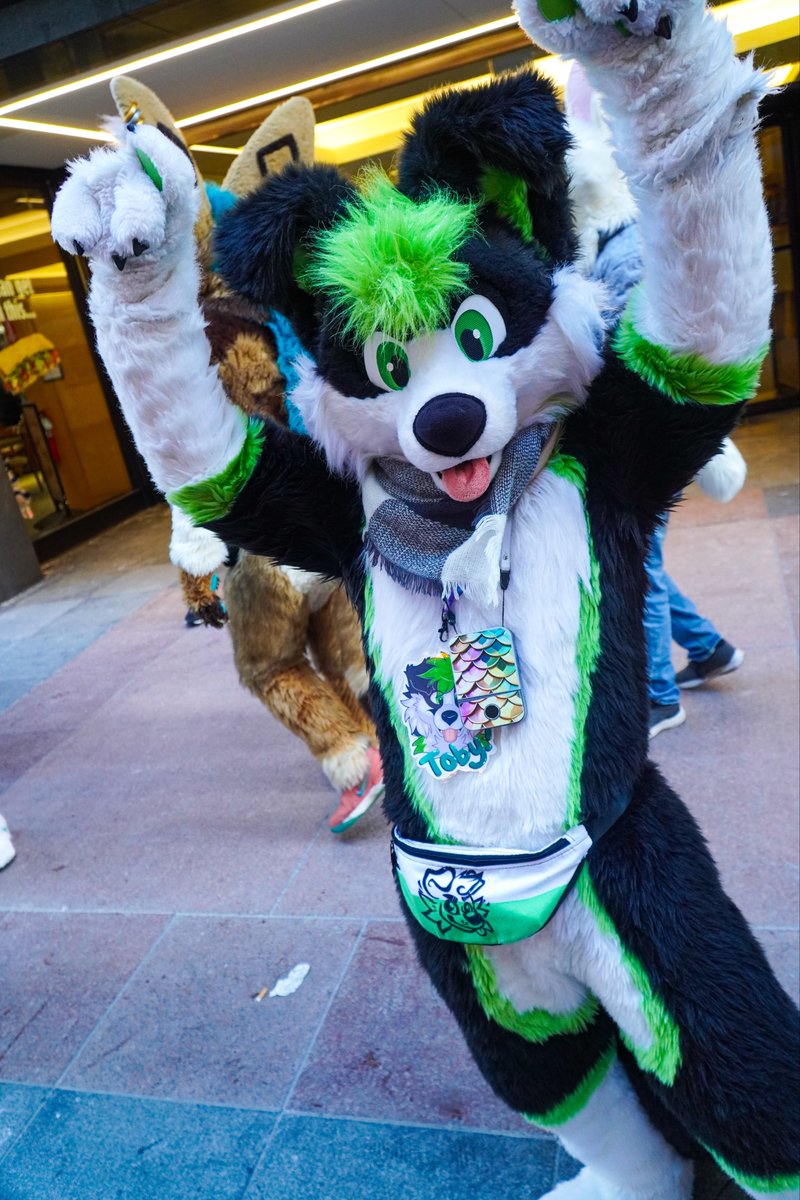 sheep 🔜 LVFC 🎲 tweet media