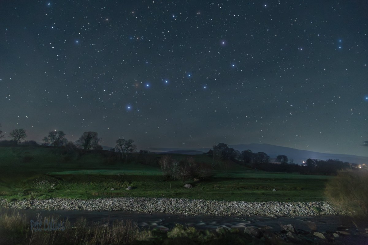 Pete Collins tweet media