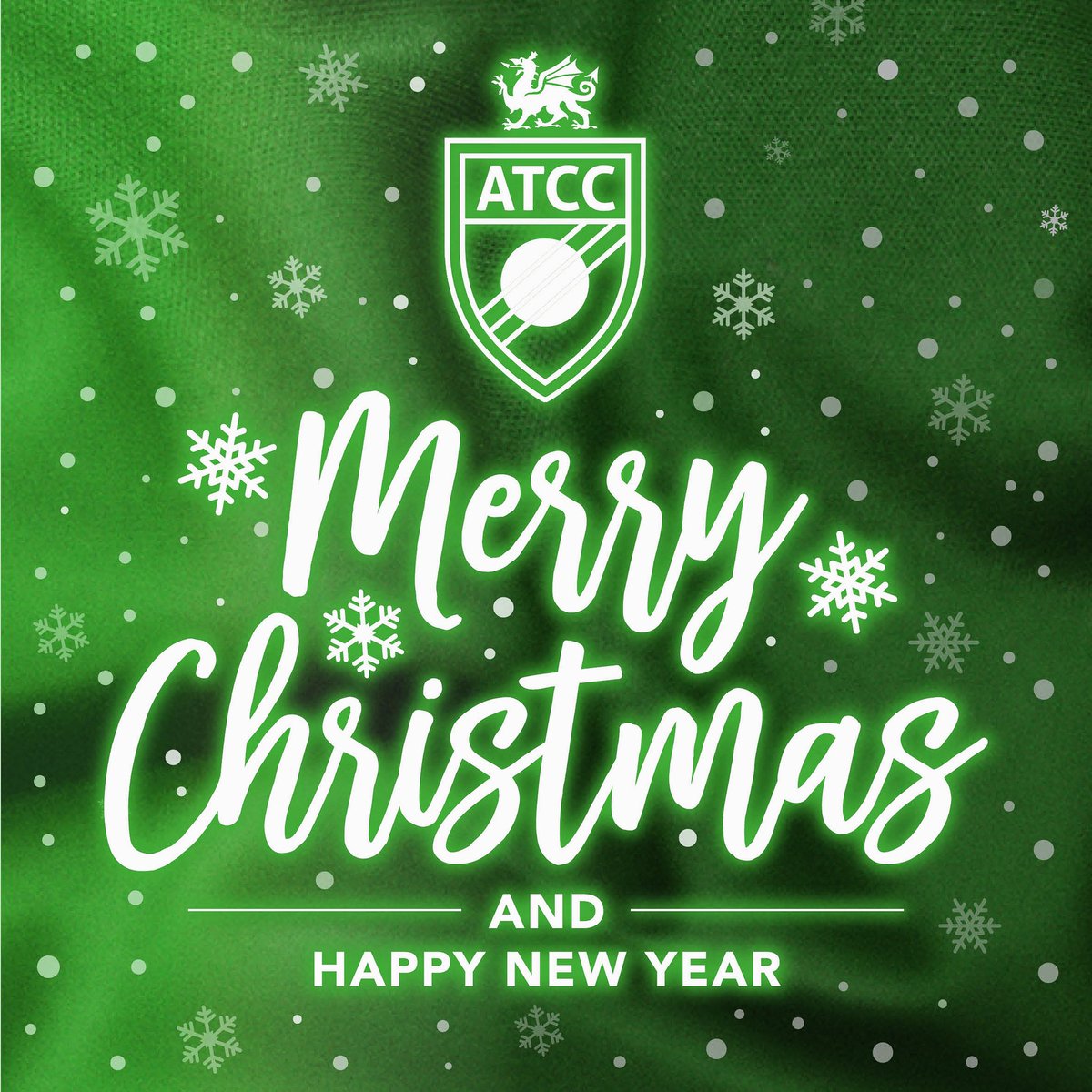 Abertillery Town Cricket Club tweet media