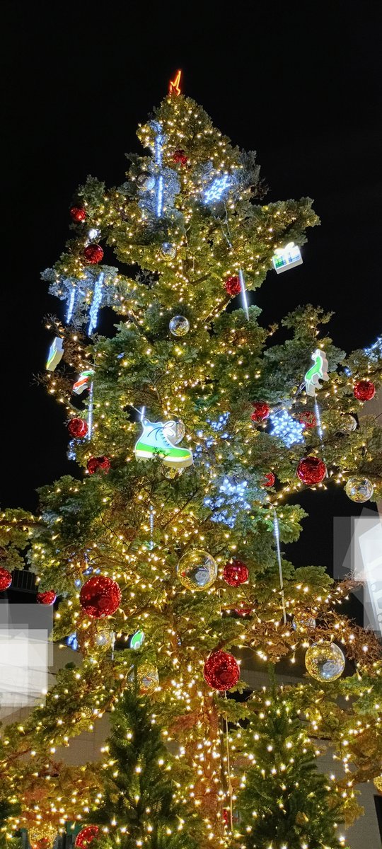 May your Christmas be merry and happy ❗️昨年は夫を置いて１人クルーズ🚢🎄、今年はお家で夫と🍰食べます。
愛と平和に満ちたクリスマスをお過ごしください✨⛄️🎄✨