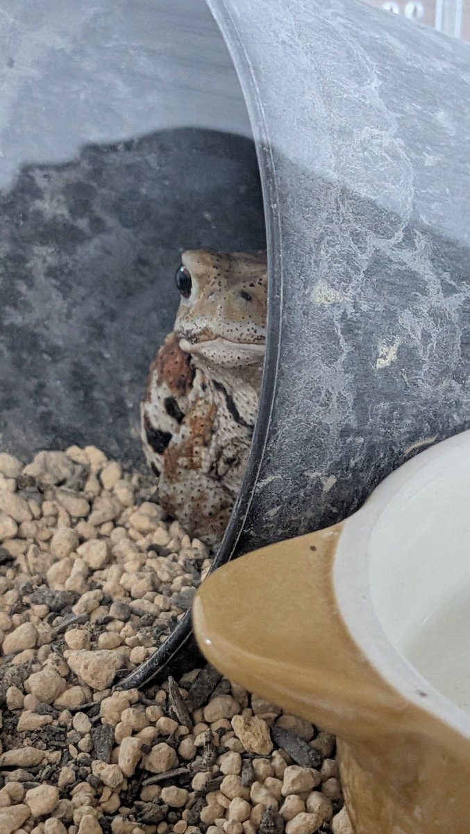 武蔵 (@Y6qSJme2tt9qd23) / Posts / X