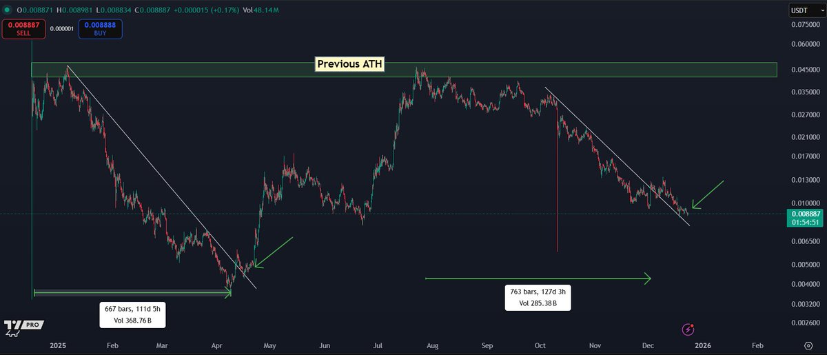 K A L E O tweet media