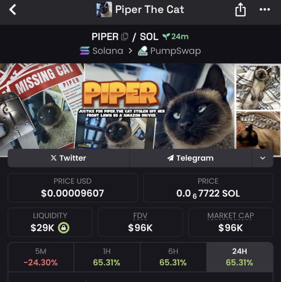 Solanaearlytren's tweet image. Justice for $Piper 🐾 – cat stolen from lawn by AMZN driver. Story gaining traction, @JusticeForPiper campaign live. SM buzz growing via Justice meta. Grabbed bag #dyor

CA: 3v8tMUcrNhxgPeHGteS7BiEGYVKUSkXspVWTLTGbpump