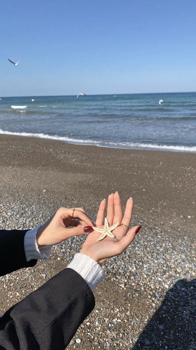 dm_9ia's tweet image. 🦪 🌊 🌟 🦢 🤳