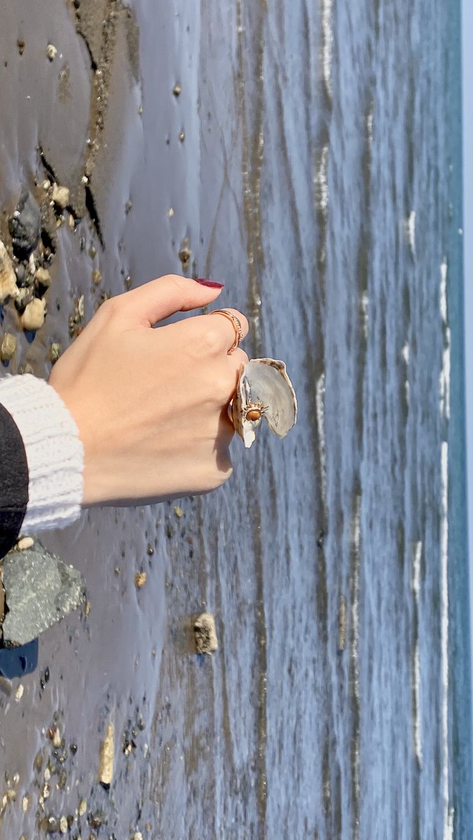 dm_9ia's tweet image. 🦪 🌊 🌟 🦢 🤳