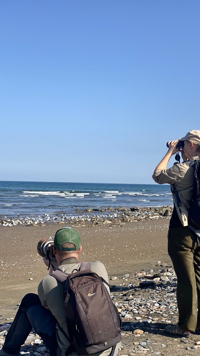 dm_9ia's tweet image. 🦪 🌊 🌟 🦢 🤳