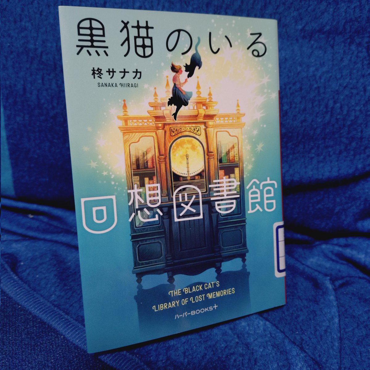 私も母を亡くした日に、ここに来ていたかもしれない。
父がいるから元の世界に戻りはするだろうけど、その時に私は何を書くだろう。

最後の章は心が暖まりました。

#猫
#読了
#黒猫
#自分史
#図書館
#図書館本
#黒猫のいる回想図書館
#柊サナカ <a href="/hiiragisanaka/">柊サナカ</a> 
#いとうあつき <a href="/atuki2126/">いとうあつき</a>