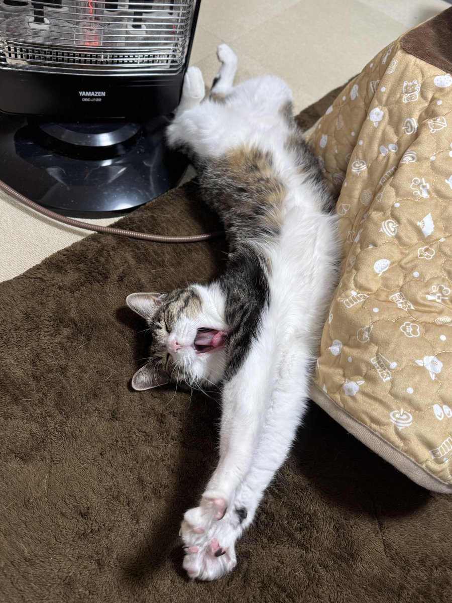 ぎんにゃん Amazon.co.jp: 仮面ライダー レジェンドライダーシリーズEX 仮面