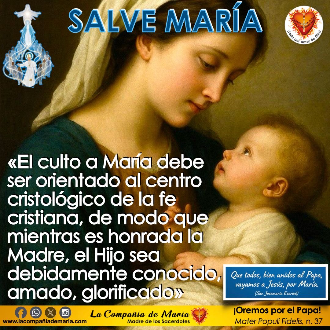 LaCompdeMaria's tweet image. Madre nuestra guárdanos en tu Inmaculado Corazón y ruega por nosotros 🙏 
#sacerdote #iglesiacatolica #lacompañiademaria #oración
#VirgenDeGuadalupe
#VirgenMa
 #InmaculadoCorazón @IglesiaMexico @ArquidiocesisT
@INBGuadalupe