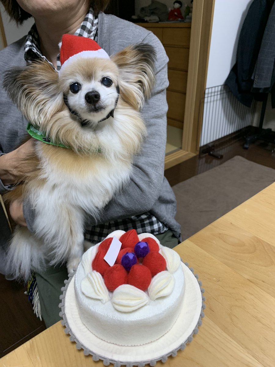 イブといえば達郎の♪クリスマスイブ♪
もともと失恋ソングが
CM起用でなんかポジテイブな歌に変わりました
当時は狂乱のバブルクリスマス😱
あのCM映像のピュアさに感動ものでした
皆様の今夜のご予定は？
私？ルーテインのジムとサウナ😅
いいクリスマスイブを🥰
#京都きもの市場