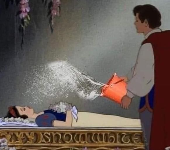 AquelaLara's tweet photo. O Príncipe acordando a Branca de Neve tomando os devidos cuidados para não ser acusado de assédio https://t.co/J0CZAcRByZ