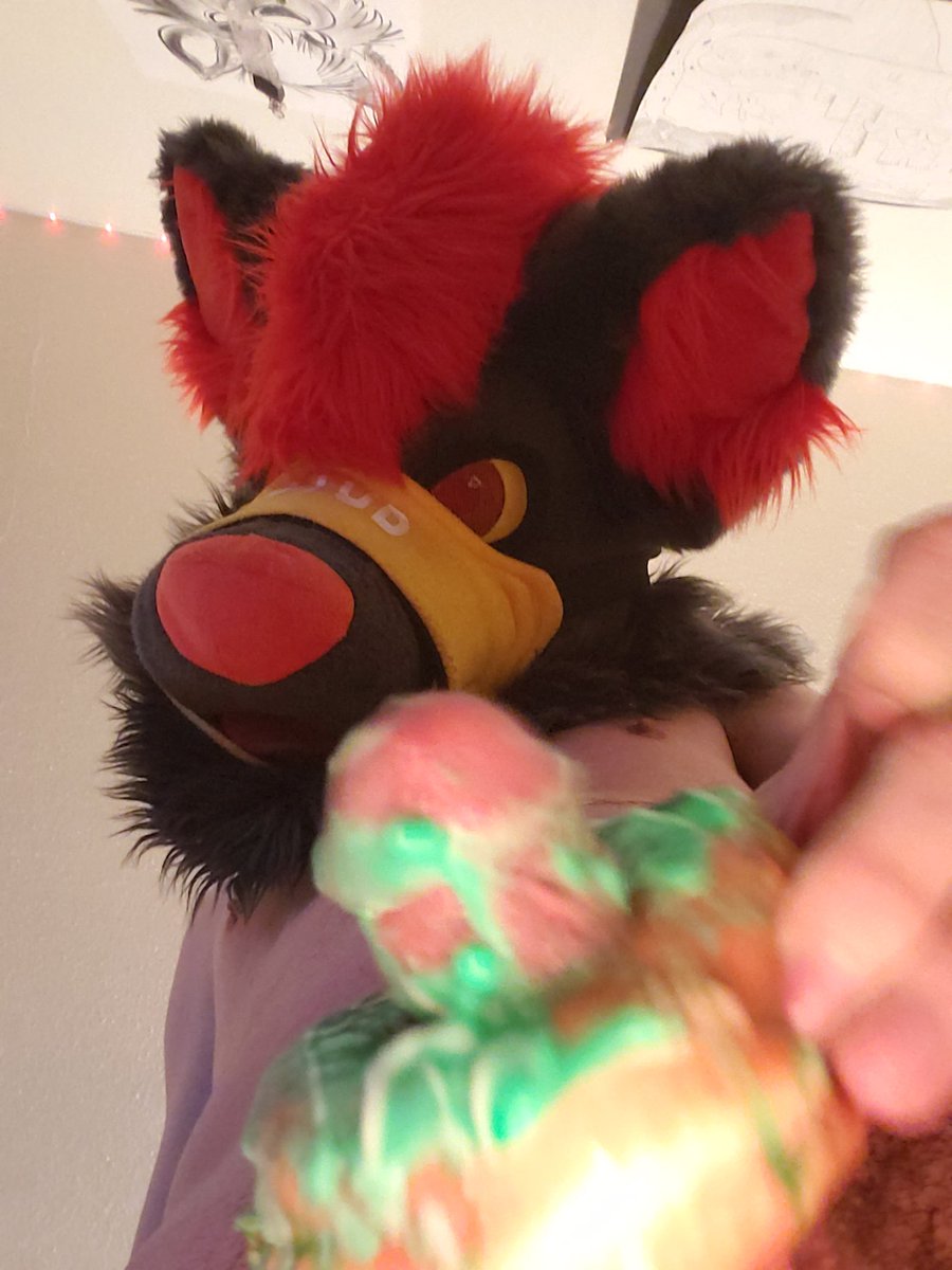 Certified Wolp moment ➡️ FWA / Furlandia tweet media